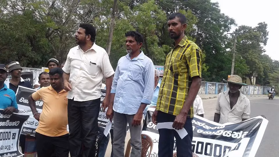 වී මිලදී ගැනීම ගැන ආණ්ඩුව පරණ බයිලාවම ගහයි වී මිලදී ගැනීම ගැන ආණ්ඩුව පරණ බයිලාවම ගහයි